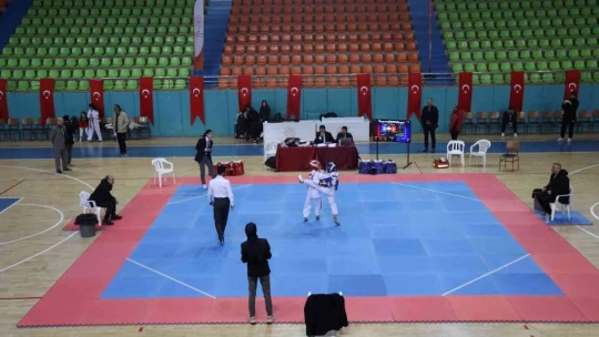 Taekwondo il şampiyonası Elazığ'da başladı