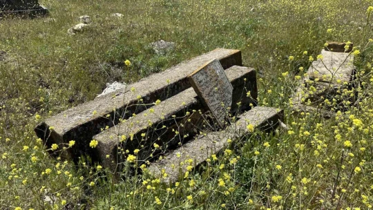 Tarih ve mirasın buluştuğu mezarlık