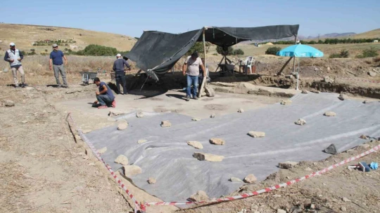 Tarlada çiftçinin bulduğu tarihi taban mozaikler gün yüzüne çıkarılıyor