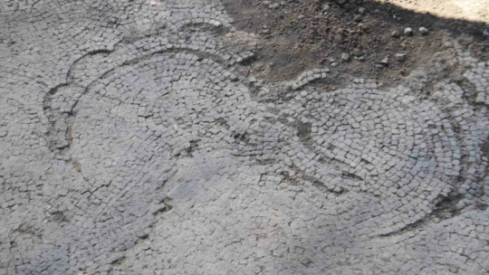 Tarlada çiftçinin bulduğu tarihi taban mozaikler gün yüzüne çıkarılıyor