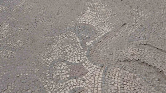 Tarlada çiftçinin bulduğu tarihi taban mozaikler gün yüzüne çıkarılıyor