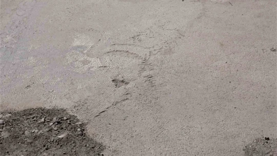 Tarlada çiftçinin bulduğu tarihi taban mozaikler gün yüzüne çıkarılıyor