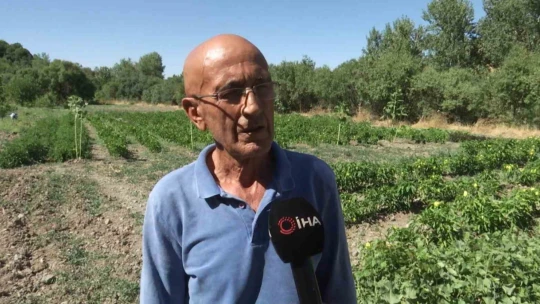 Tarlada heyecanlandıran keşif: Kazı çalışmaları başladı