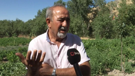 Tarlada heyecanlandıran keşif: Kazı çalışmaları başladı