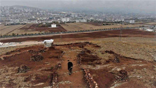 Taşlık araziyi ormana çevirmişti: Yetkililer teşekkür edip fidan desteğinde bulundu
