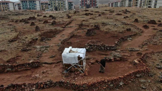 Taşlık araziyi ormana çevirmişti: Yetkililer teşekkür edip fidan desteğinde bulundu