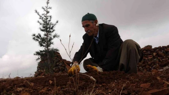 Taşlık araziyi ormana çevirmişti: Yetkililer teşekkür edip fidan desteğinde bulundu