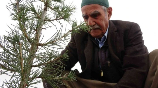 Taşlık araziyi ormana çevirmişti: Yetkililer teşekkür edip fidan desteğinde bulundu