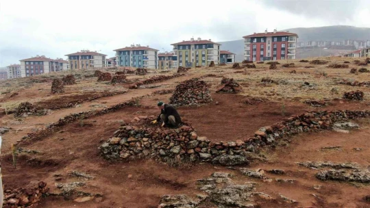 Taşlık araziyi ormana çevirmişti: Yetkililer teşekkür edip fidan desteğinde bulundu