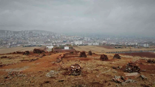 Taşlık araziyi ormana çevirmişti: Yetkililer teşekkür edip fidan desteğinde bulundu
