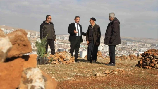 Taşlık araziyi ormana çevirmişti: Yetkililer teşekkür edip fidan desteğinde bulundu