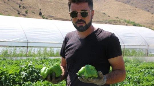 Keban Biberi'ni Tanımayan Kalmayacak