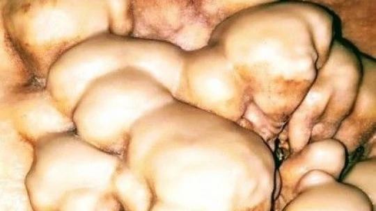 Tescilli Gümüşkaya Mağarası turizme kazandırılacak