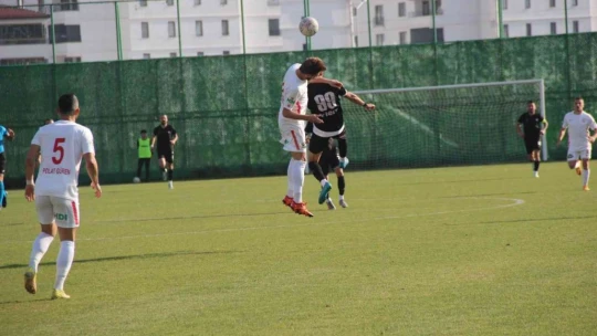 TFF 3. Lig: 23 Elazığ FK: 1 - Ayvalıkgücü Belediyespor: 1
