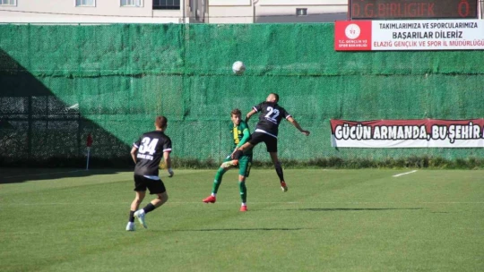 TFF 3. Lig: 23 Elazığ FK: 2 - Darıca Gençlerbirliği: 2