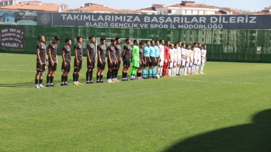 TFF 3. Lig: Elazığspor: 2 - Artvin Hopaspor: 2