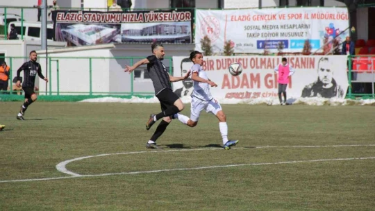TFF 3. Lig: Elazığspor: 2 - Nevşehir Belediyespor: 2