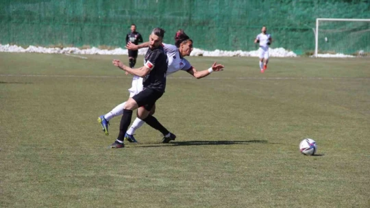 TFF 3. Lig: Elazığspor: 2 - Nevşehir Belediyespor: 2