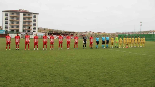 TFF 3. Lig: HD Elazığ Karakoçan: 2 - Darıca Gençlerbirliği: 2