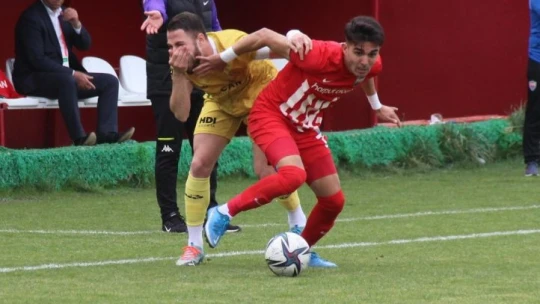 TFF 3. Lig: HD Elazığ Karakoçan: 2 - Darıca Gençlerbirliği: 2