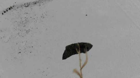 Tipi yolu kapattı, jandarma ekipleri hastaya ilacını drone ile ulaştırdı
