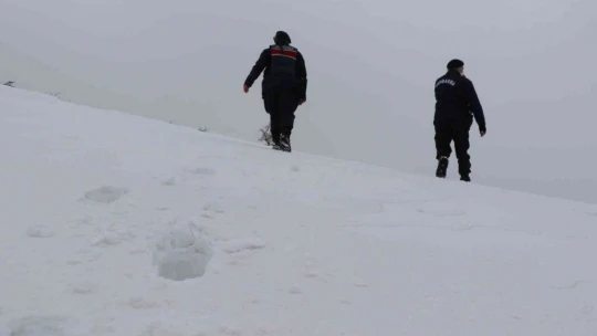 Tipi yolu kapattı, jandarma ekipleri hastaya ilacını drone ile ulaştırdı