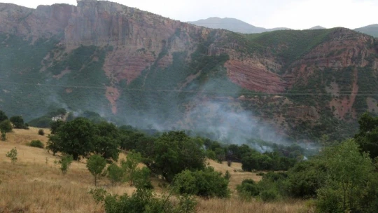 Tunceli'de piknikçilerin olduğu alana yıldırım düştü