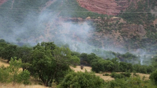Tunceli'de piknikçilerin olduğu alana yıldırım düştü