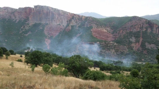 Tunceli'de piknikçilerin olduğu alana yıldırım düştü