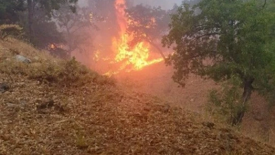 Tunceli'de piknikçilerin olduğu alana yıldırım düştü
