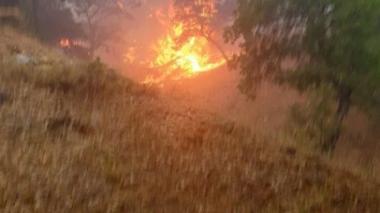 Tunceli'de piknikçilerin olduğu alana yıldırım düştü