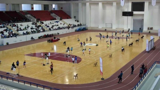 Türkiye Badminton Şampiyonası tamamlandı