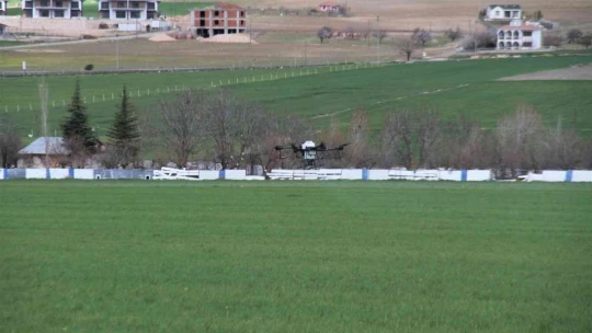 Türkiye'de bir ilk: Dron ile ücretsiz ilaçlama