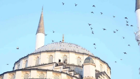 Türkiye'nin ilk asansörlü camisi güvercinleri ağırladı