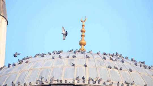 Türkiye'nin ilk asansörlü camisi güvercinleri ağırladı