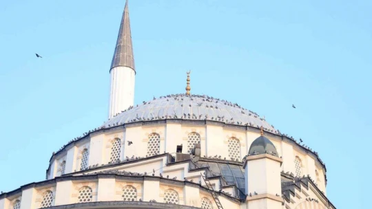 Türkiye'nin ilk asansörlü camisi güvercinleri ağırladı