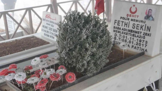 Türkiye'nin konuştuğu kahramanın doğup büyüdüğü ev ilk kez görüntülendi