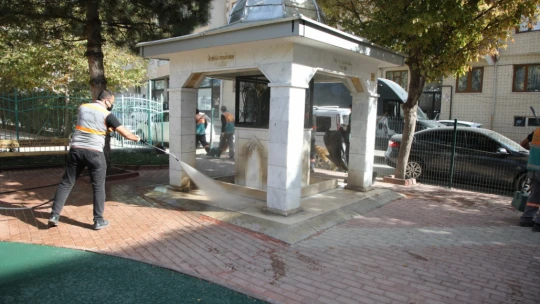 Üniversite Mahallesinde Kapsamlı Temizlik