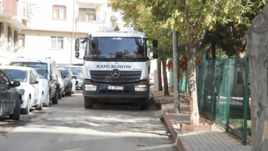 Üniversite Mahallesinde Kapsamlı Temizlik