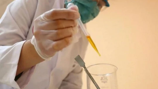 Üniversite öğrencisi doğada çözünerek bitkiye dönüşen plastik üretti