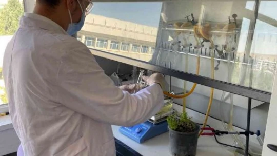 Üniversite öğrencisi doğada çözünerek bitkiye dönüşen plastik üretti