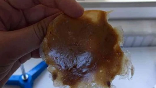 Üniversite öğrencisi doğada çözünerek bitkiye dönüşen plastik üretti