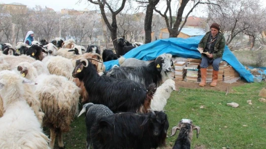 67 yaşında mezun oldu