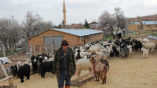 67 yaşında mezun oldu