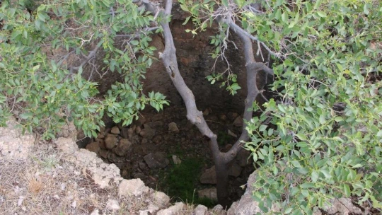 Urartular dönemine ait Tanrıverdi Kalesi ilk günkü ihtişamını koruyor