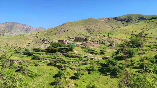 Uydudan haritaları incelerken 3 milyon yıllık kanyon keşfettiler