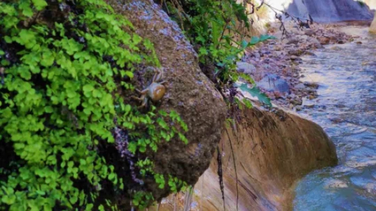 Uydudan haritaları incelerken 3 milyon yıllık kanyon keşfettiler