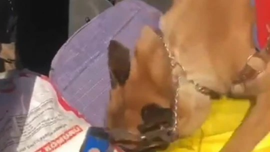 Uyuşturucu taciri, narkotik köpeğinden kaçamadı