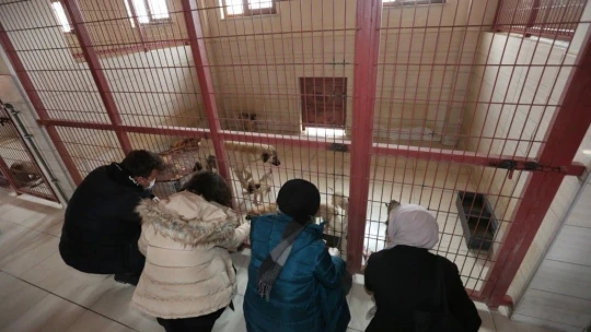 Veteriner Fakültesi öğrencilerinden Elazığ Belediyesi Hayvan Hastanesine tam not