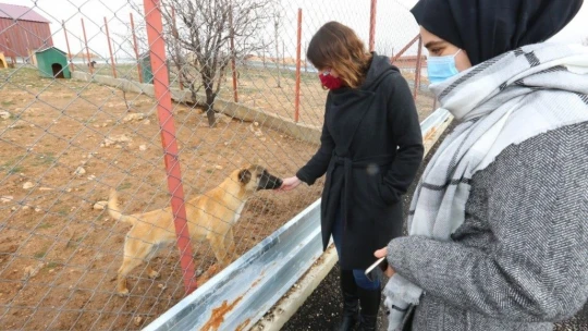 Veteriner Fakültesi öğrencilerinden Elazığ Belediyesi Hayvan Hastanesine tam not